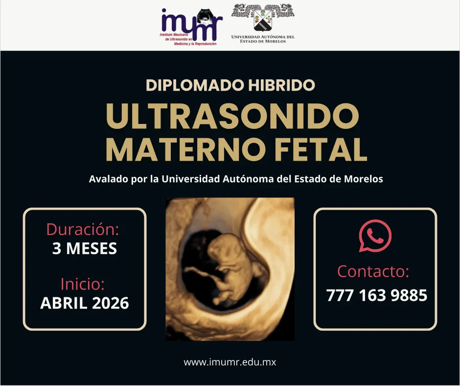 MATERNO FETAL 2026
